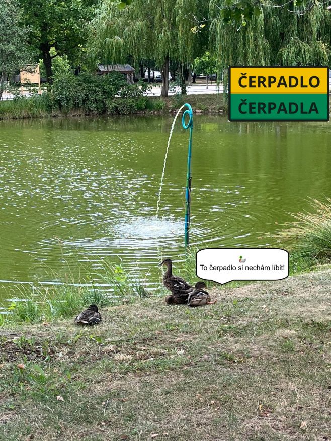 🦆 „Takhle to vypadá, když má čerpadlo směnu.“ 💧 Voda teče, kachny v klidu – vše pod kontrolou. 🔧 Čerpadla, která makají na...
